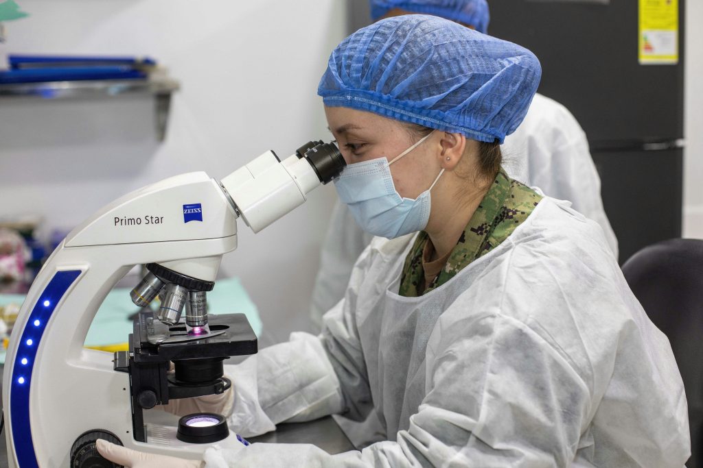 Gut health for weight loss research showing microbiome composition analysis