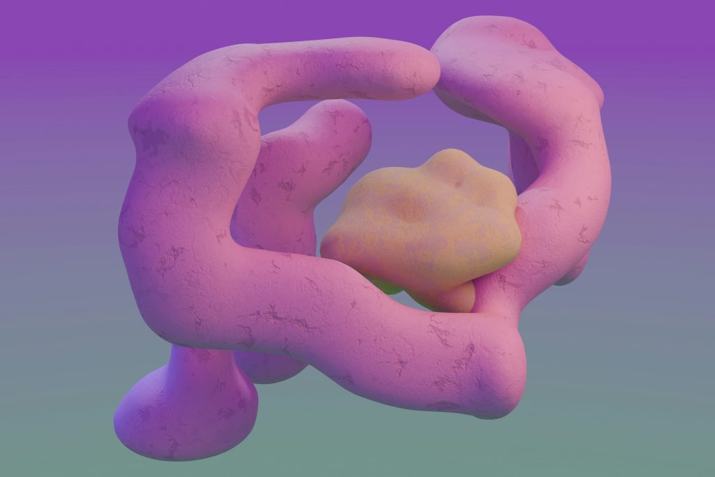 Gut health for weight loss mechanisms affecting metabolism and fat storage