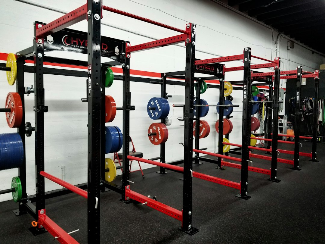 Foldable Squat Rack Apartment Guide: Footprint, Installation, and Safety 2 Foldable squat rack folded flat against a wall in a modern apartment home gym setting.